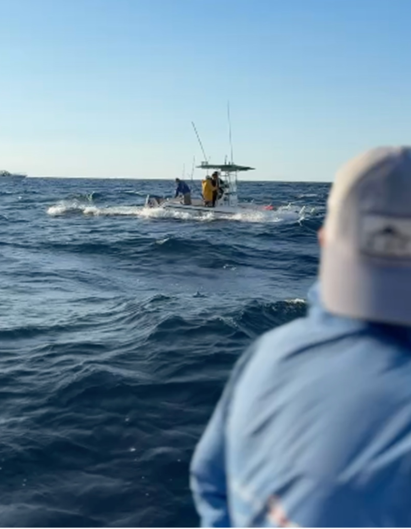 Peschiamo tutti gli stessi dati