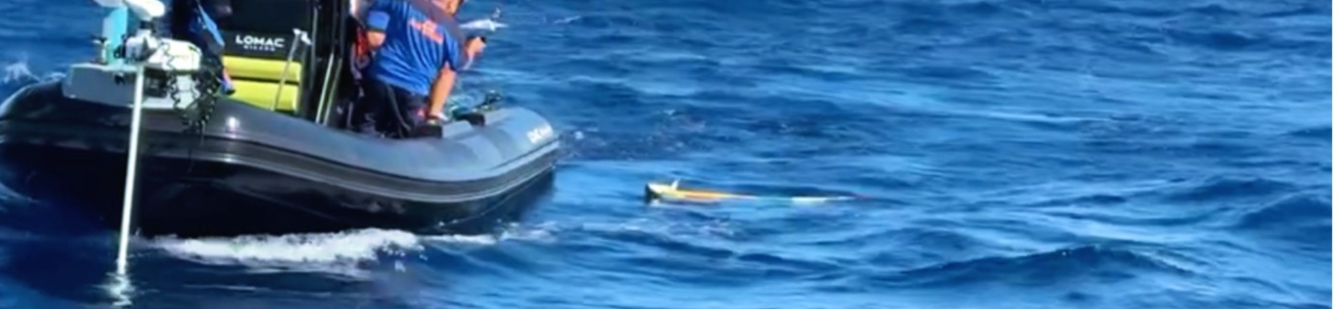 Peschiamo tutti gli stessi dati