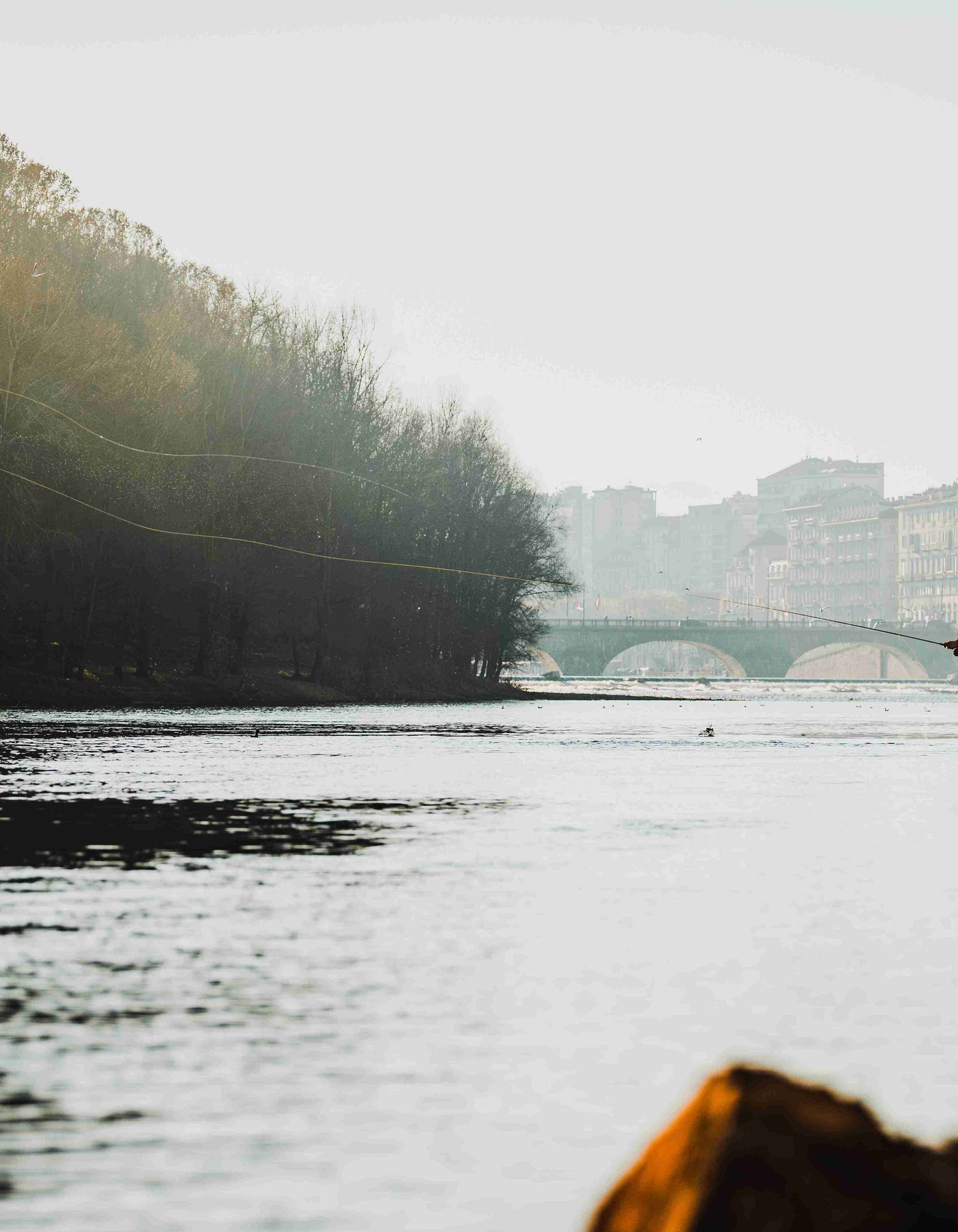 Presentazione del libro "Il vizio di Pietro"