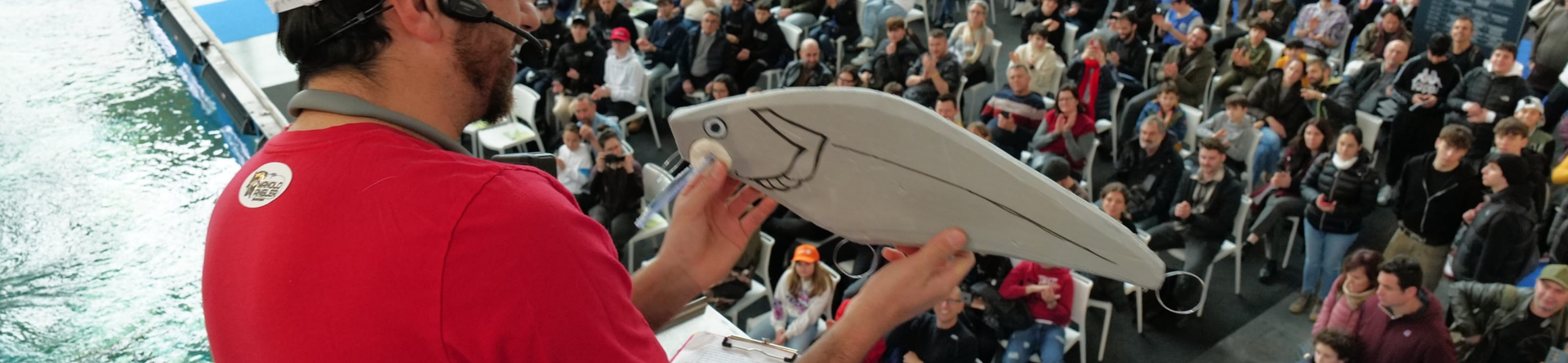 Presentazione prodotti Sakura per la pesca del Bass con esche rigide