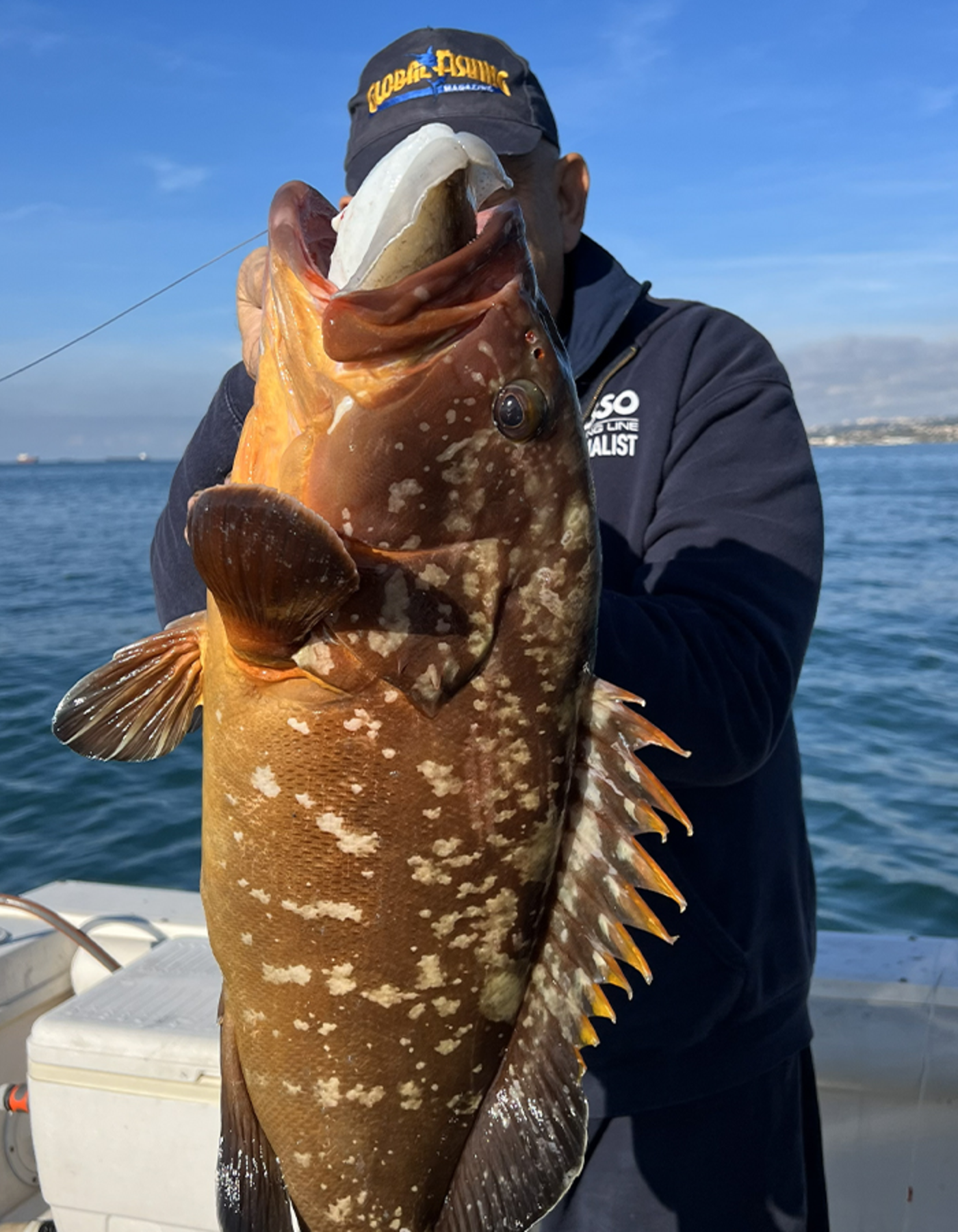 Traina con il vivo…partiamo da zero