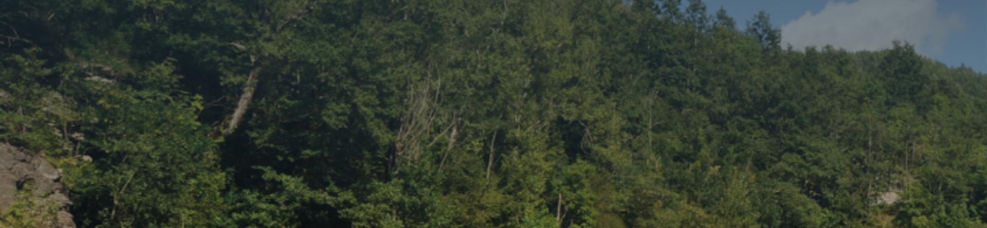 Le trote della Val Trebbia, la riserva di Gorreto