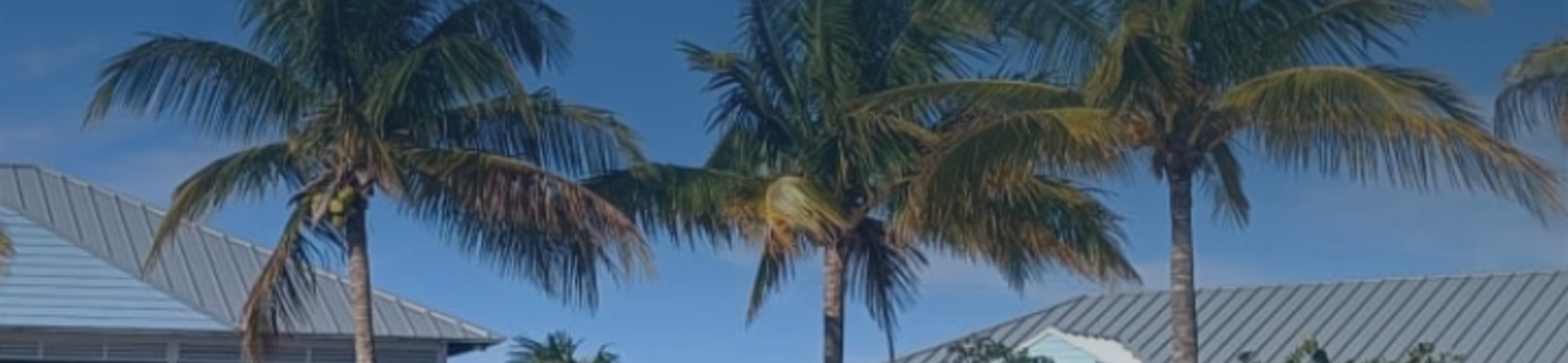 Grand Bahama: pesca al bonefish tra avventura e comfort