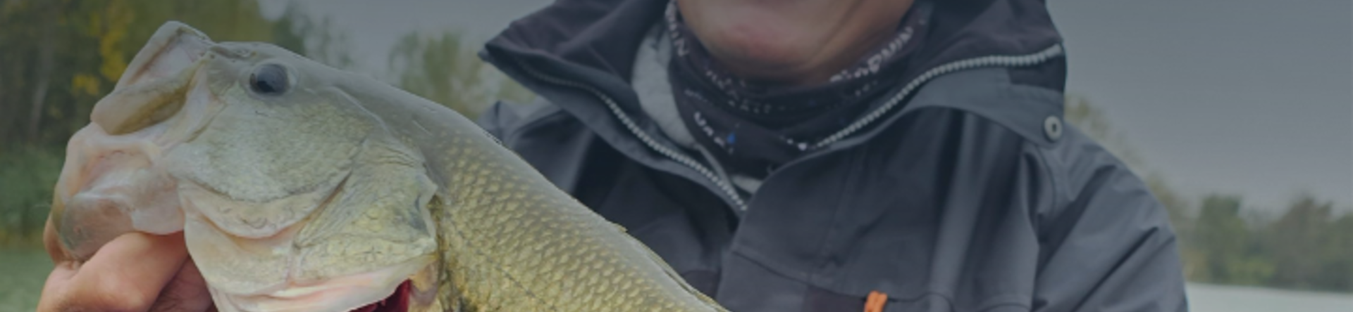 Bass Invernale: 10 consigli per una pesca efficace