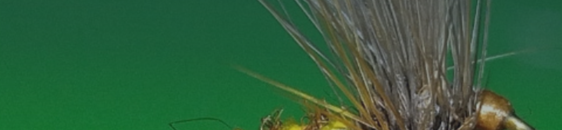 I colli di gallo per artificiali per la pesca a mosca