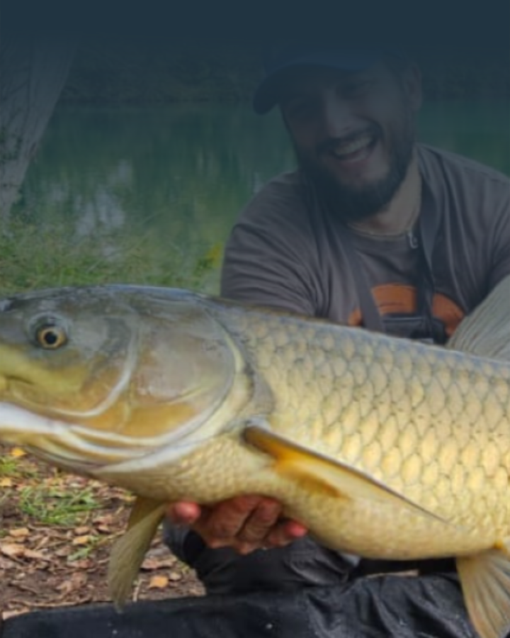 Tra alba e adrenalina: un'uscita di carpfishing tra emozioni e sorprese Tra alba e adrenalina: un'uscita di carpfishing tra emozioni e sorprese