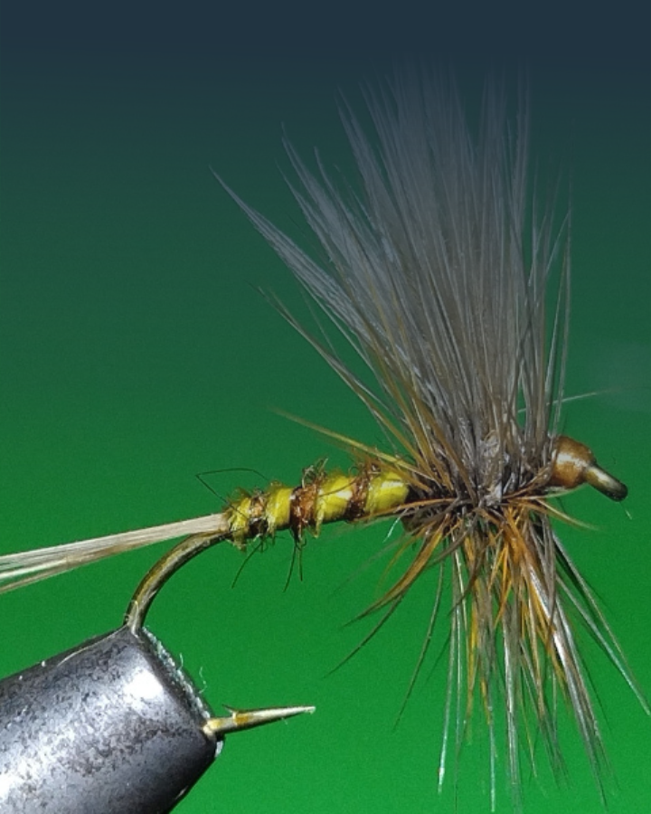 I colli di gallo per artificiali per la pesca a mosca I colli di gallo per artificiali per la pesca a mosca