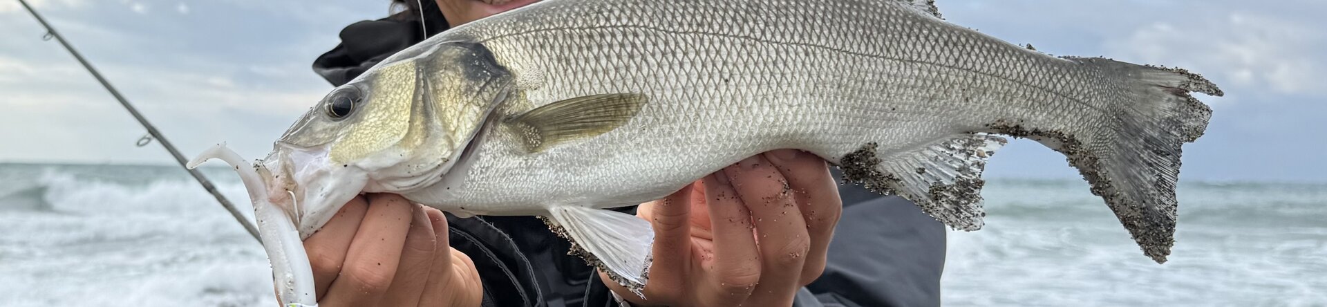 Spinning alla Spigola