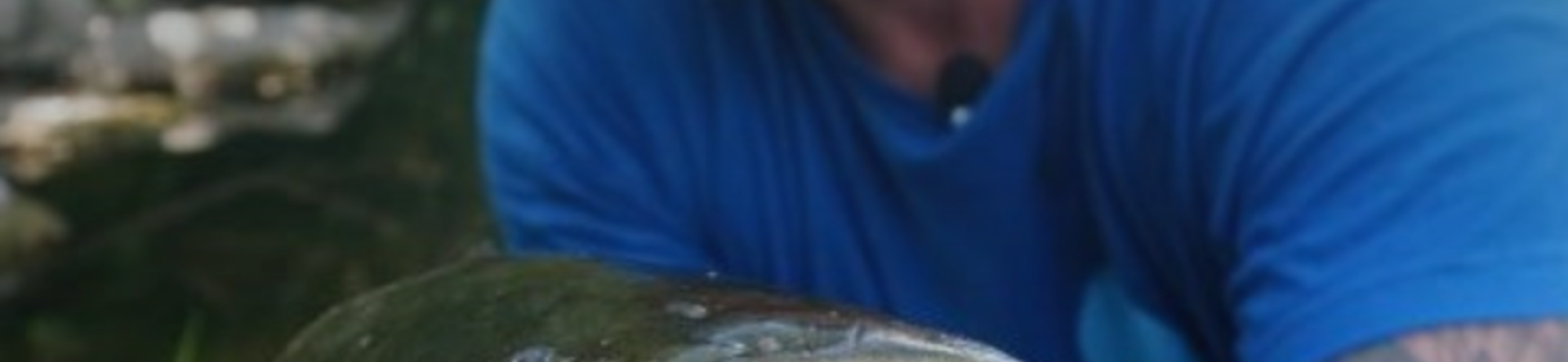 Il Feeder Fishing, una tecnica poliedrica - Seconda Parte