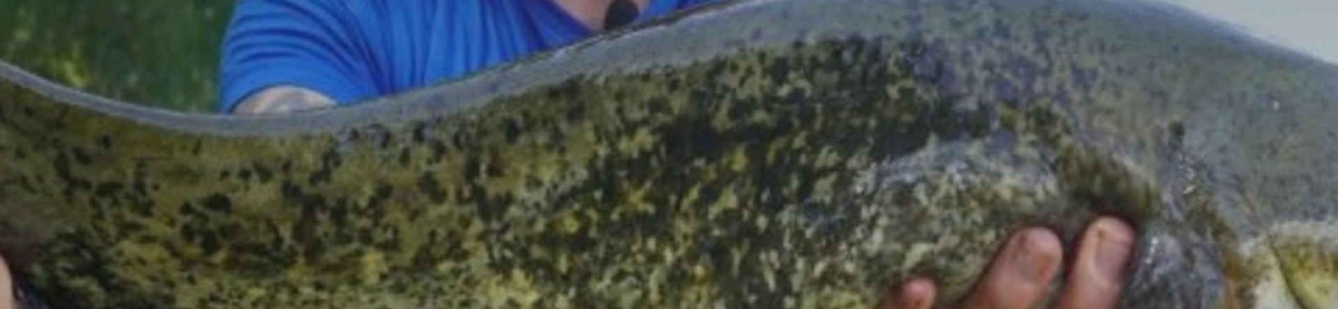 Il Feeder Fishing, una tecnica poliedrica - Prima Parte