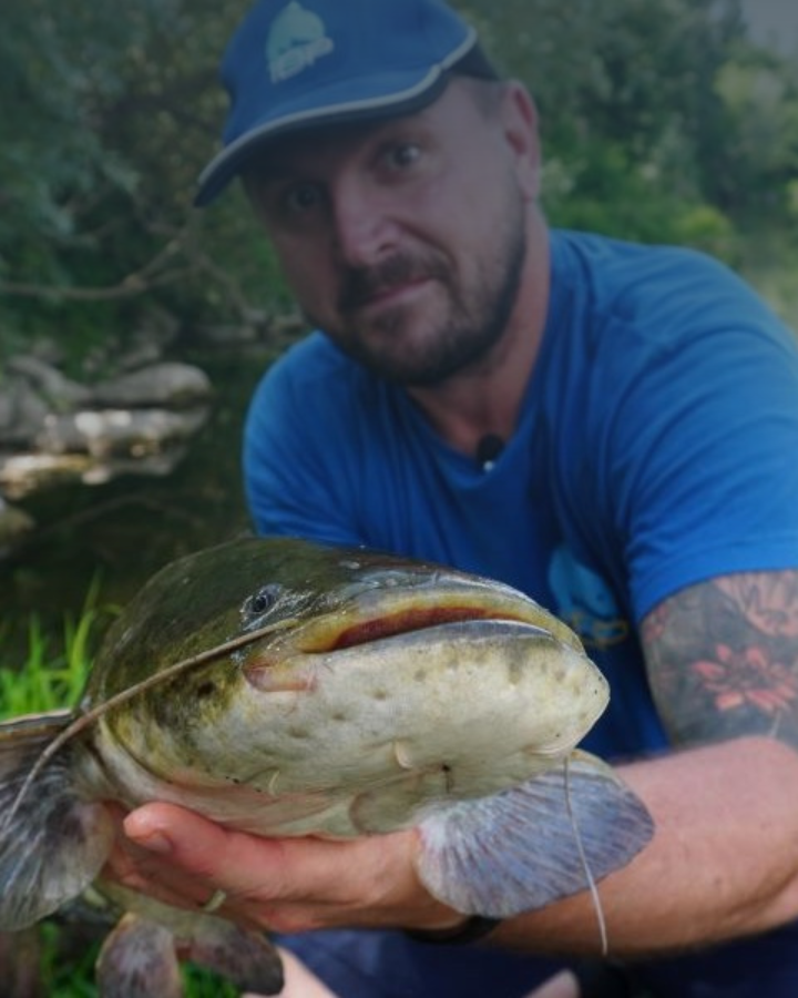 Il Feeder Fishing, una tecnica poliedrica - Seconda Parte Il Feeder Fishing, una tecnica poliedrica - Seconda Parte