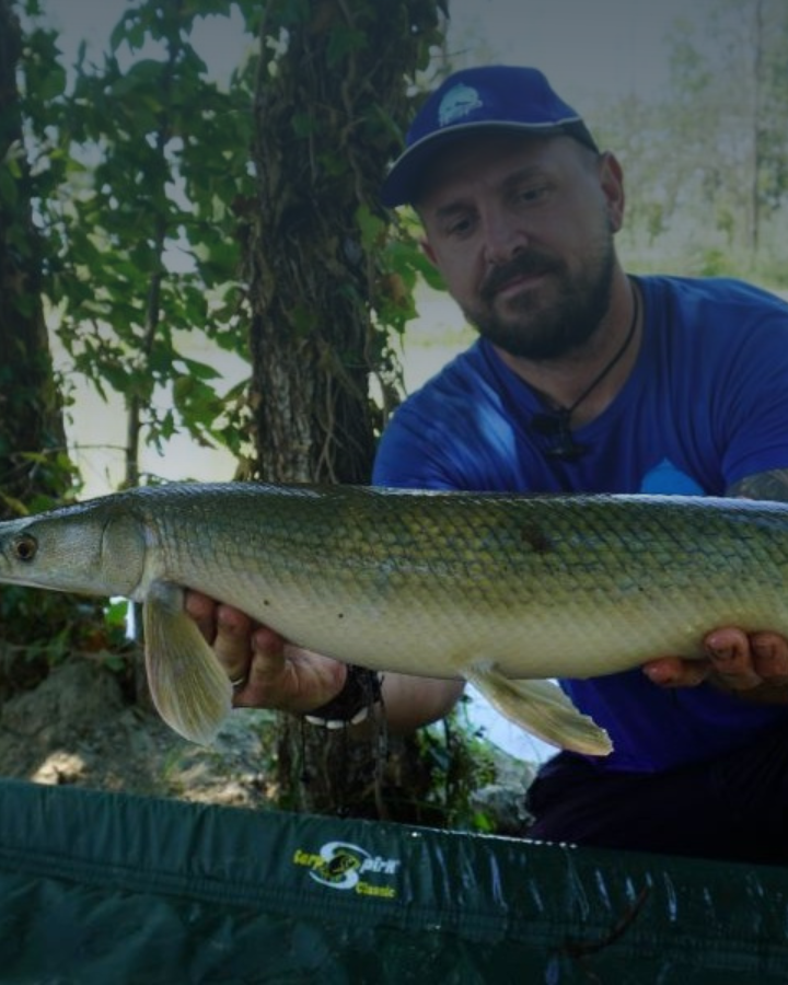 Il Feeder Fishing, una tecnica poliedrica - Terza Parte Il Feeder Fishing, una tecnica poliedrica - Terza Parte
