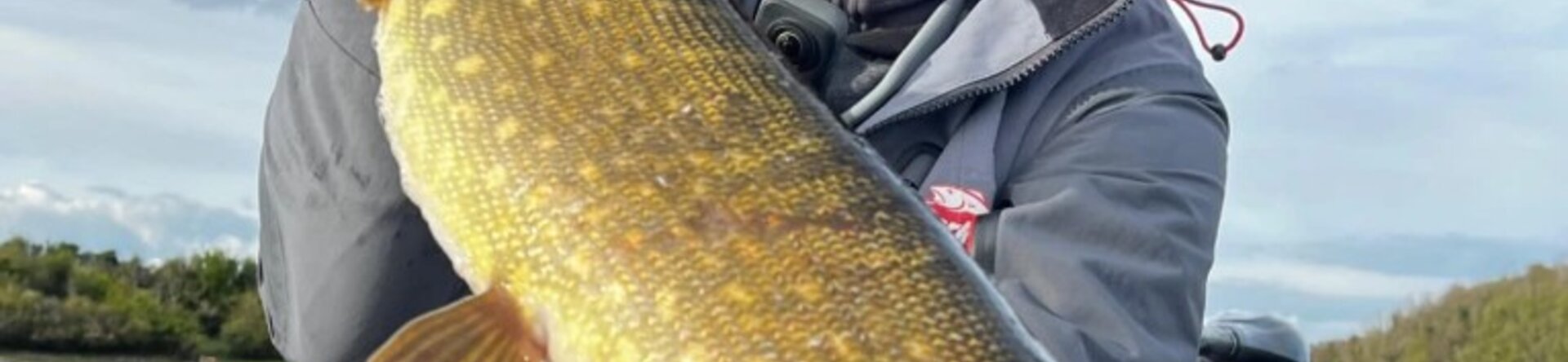 Irlanda, terra di lucci e sogni