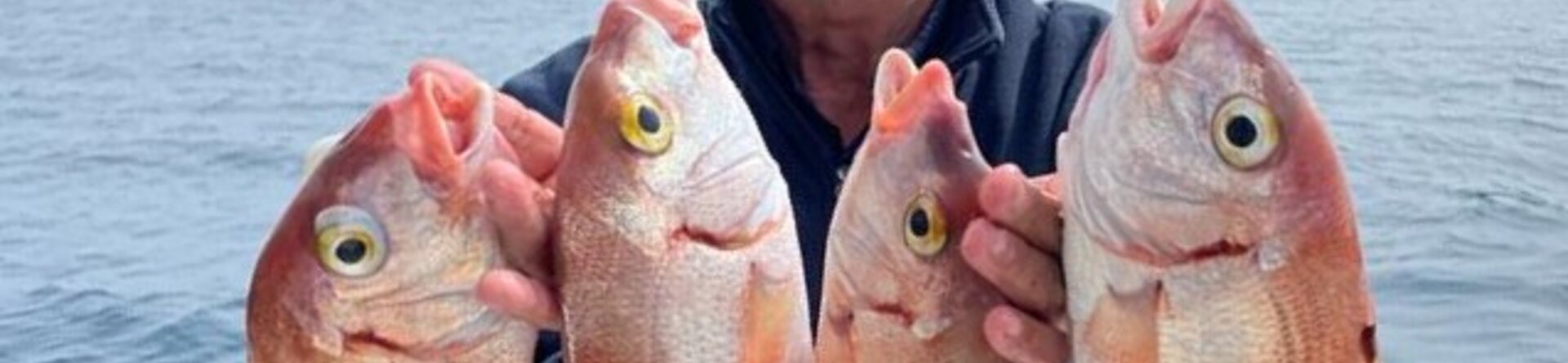 Bottom Fishing for Everyone