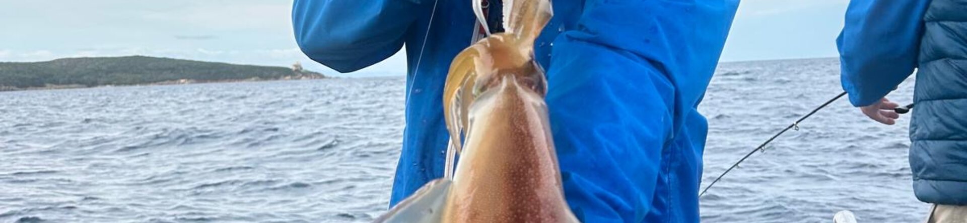 Pesca al Calamaro: i segreti del Tataki e oltre per un successo assicurato