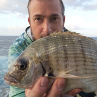 Tycoonlures  