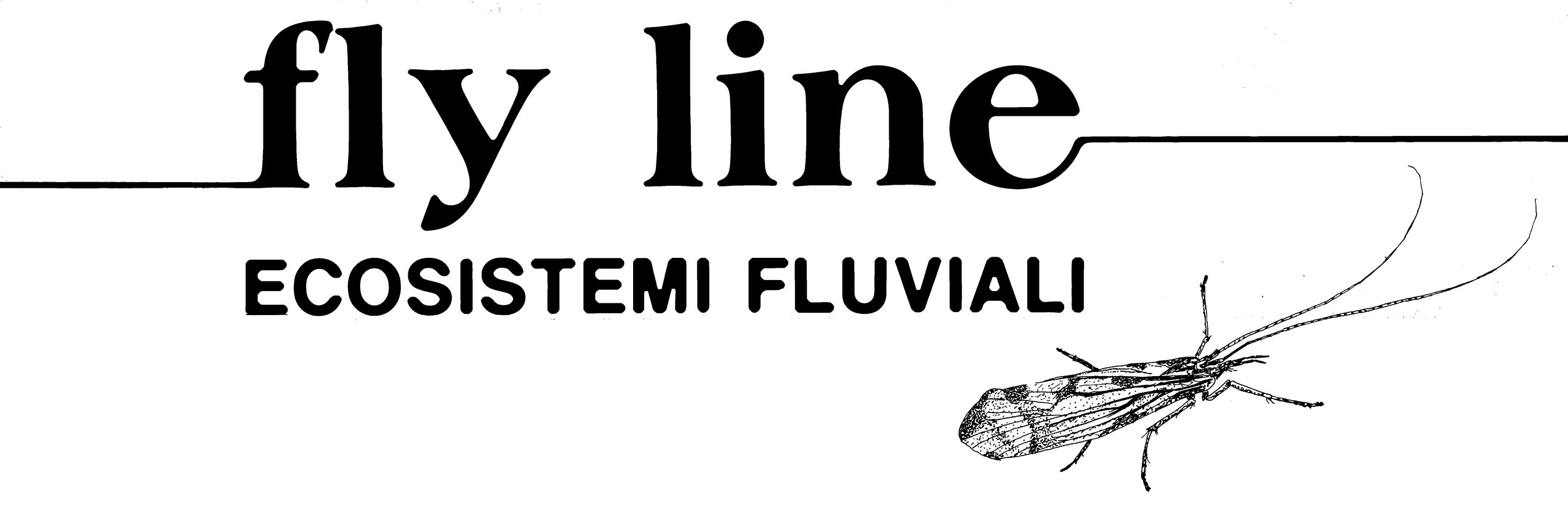Fly Line Magazine Fly Line Magazine