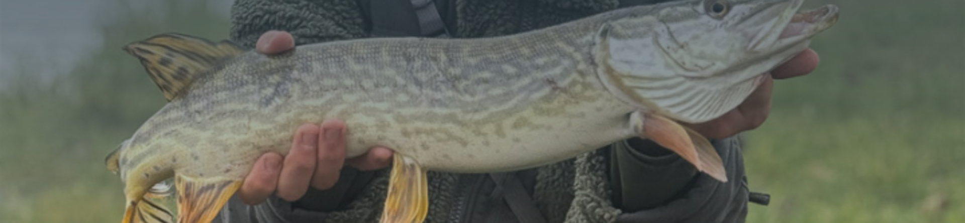 Marco Formentini è il nuovo campione del Golden Pike
