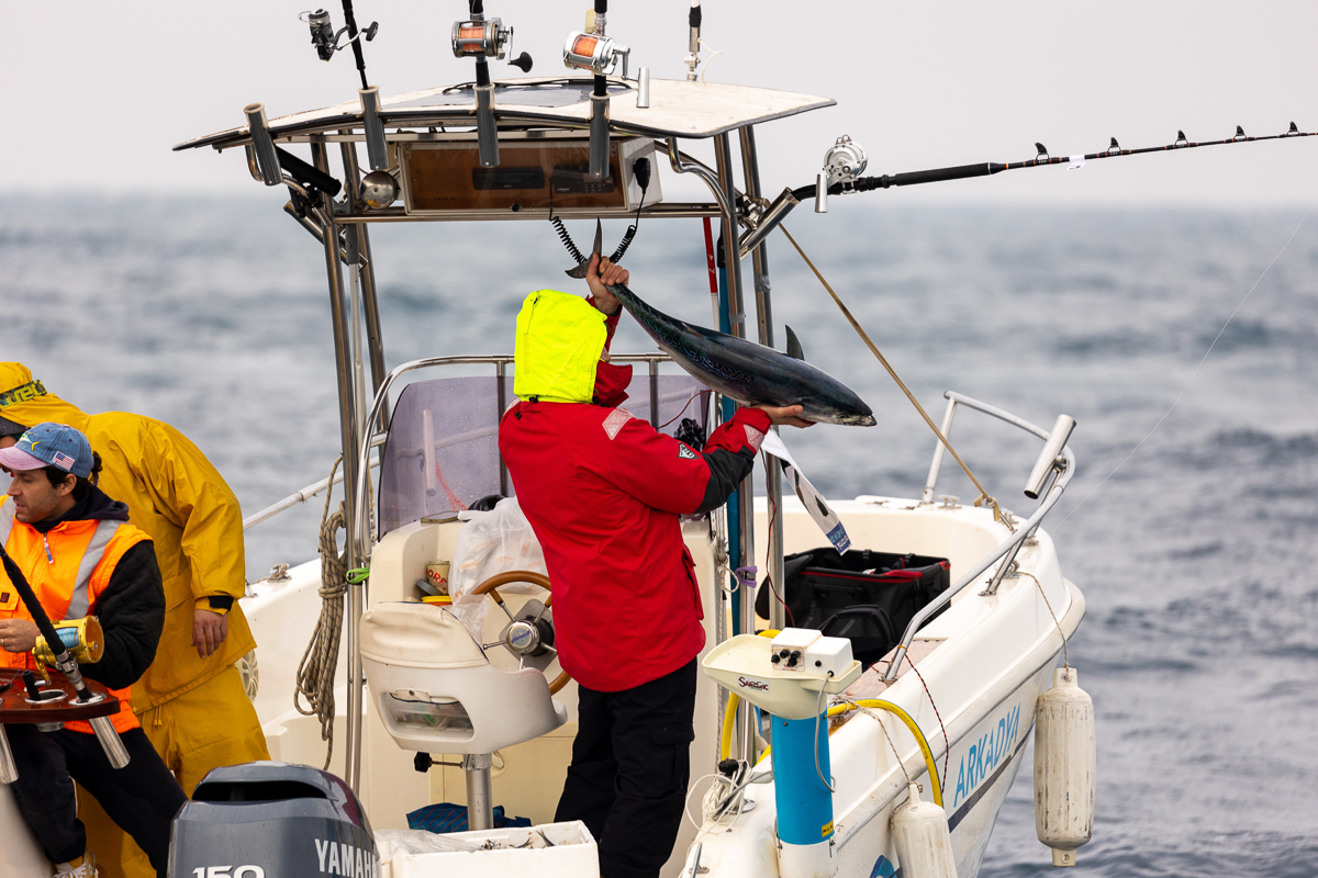 Si conclude il XXI Trofeo Città di Rimini - Big Game in Drifting 2024 Si conclude il XXI Trofeo Città di Rimini - Big Game in Drifting 2024