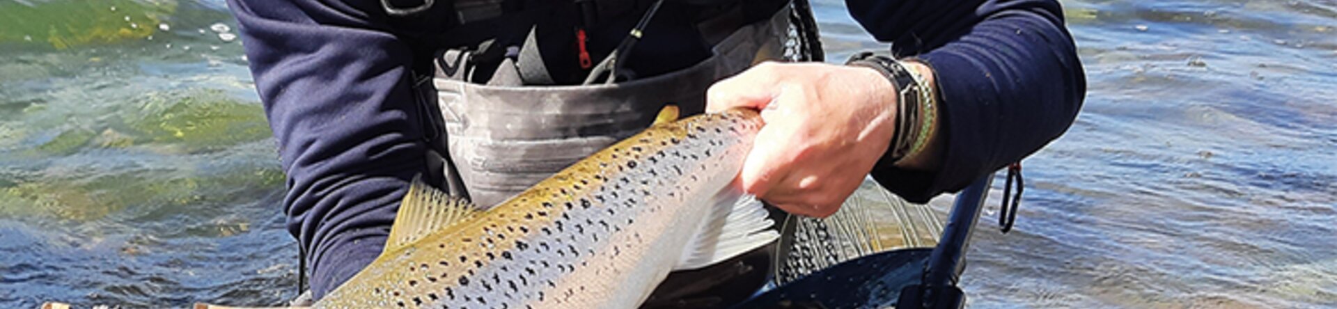 Pescare Show 2026: Denmark Fishing Lodge