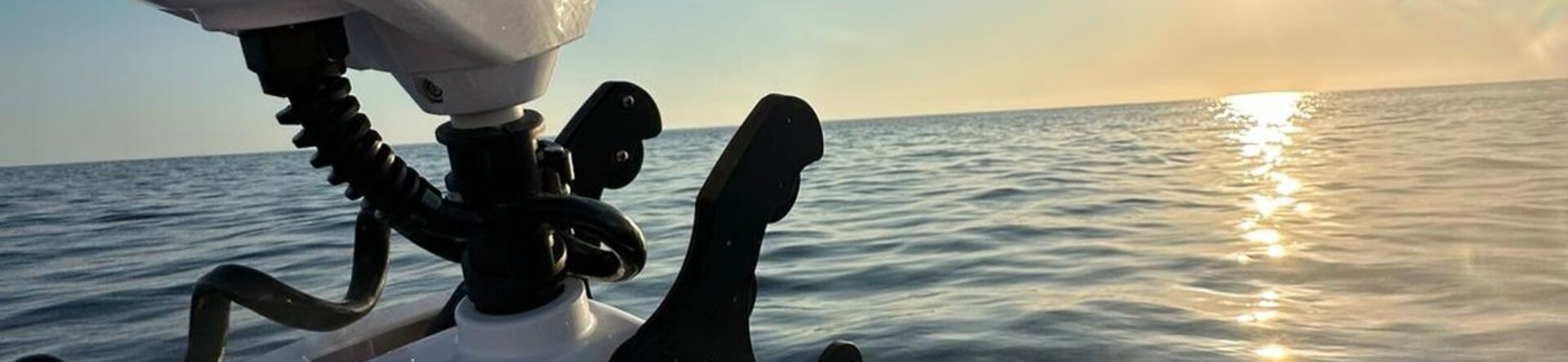 Pescare Show 2026: Ernani Cayenne