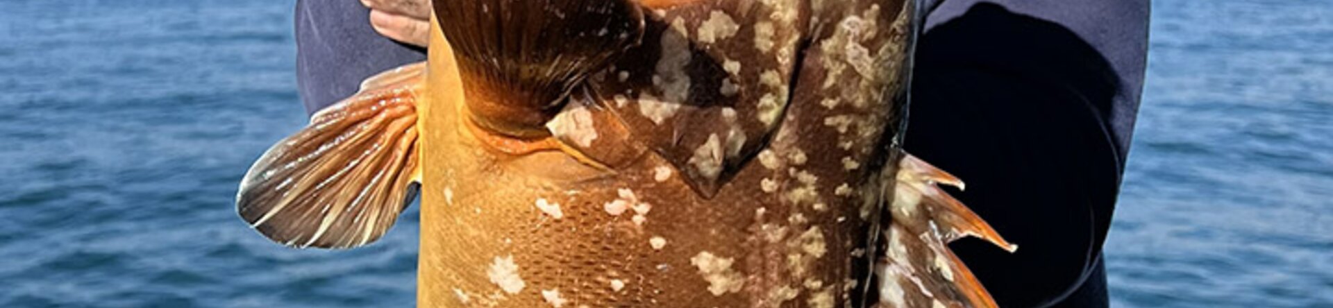 Pescare Show 2026: GlobalFishing Magazine