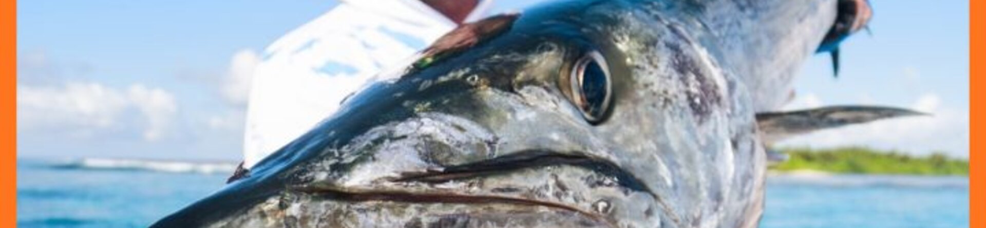 Pescare Show 2026: Go to Fish