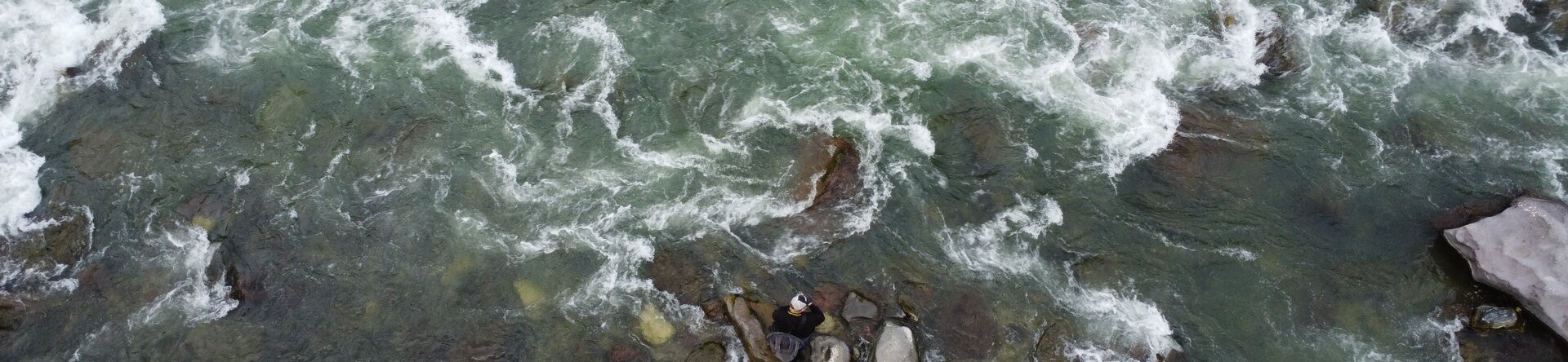 Pescare Show 2026: Seika