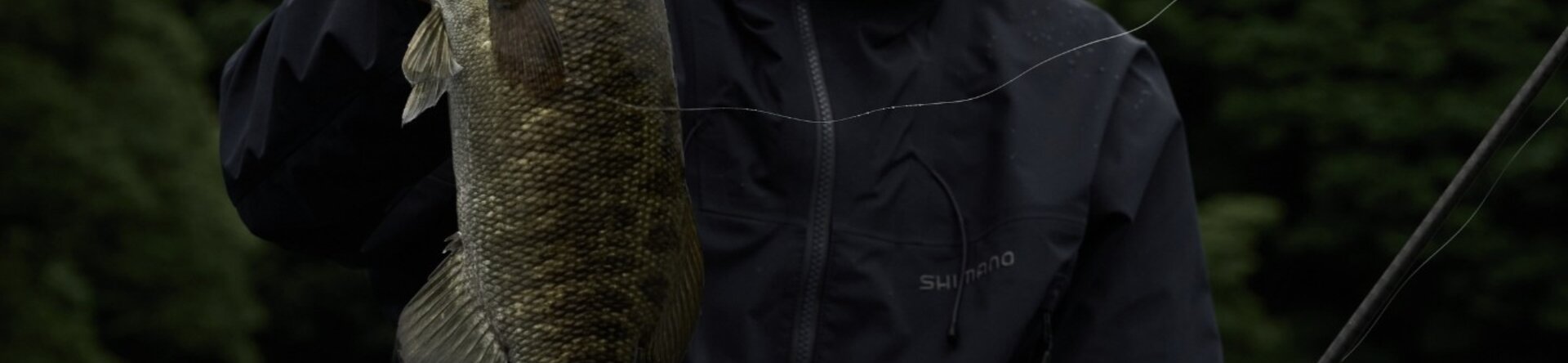 Pescare Show 2026: Shimano