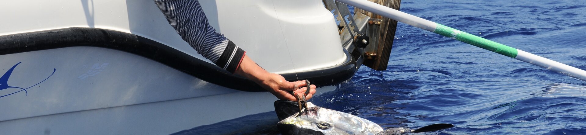 Tuna Cup Anzio 2026