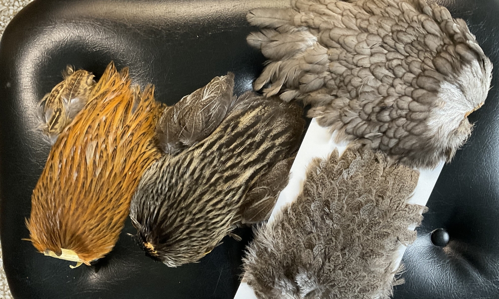Blog collo di gallo esche a mosca 1