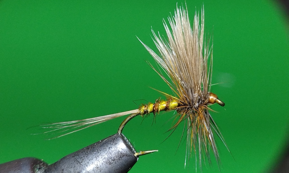 Blog collo di gallo esche a mosca 5