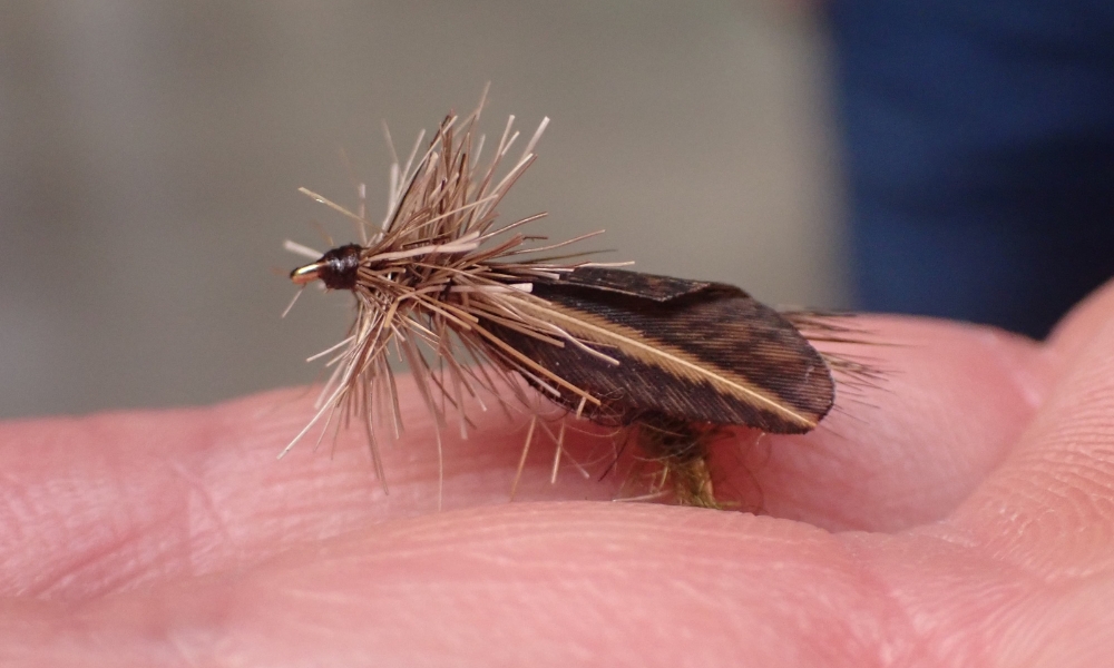 Blog collo di gallo esche a mosca 6