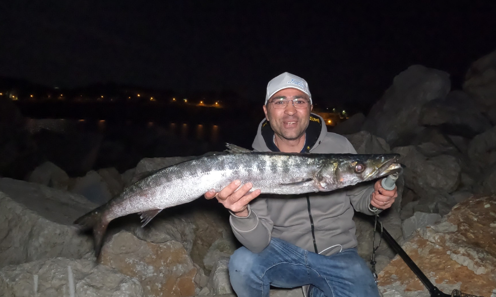 barra frame 2