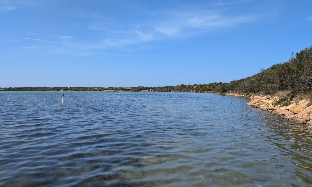 Stefano Carmagnani in Sardegna 6