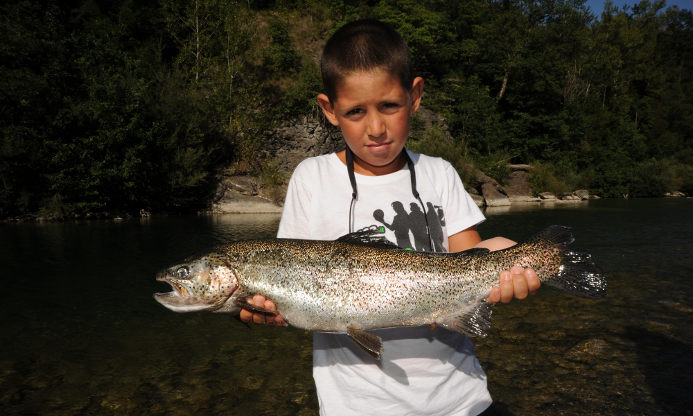 gionata 6