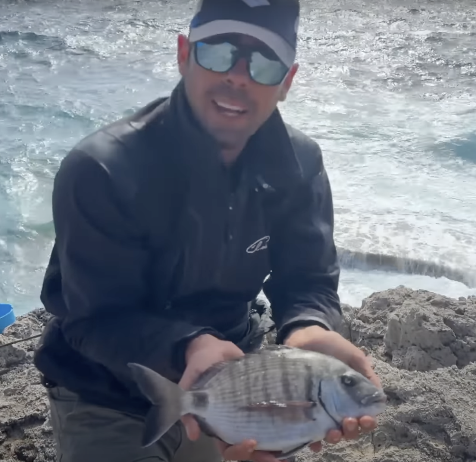 lovefish 2