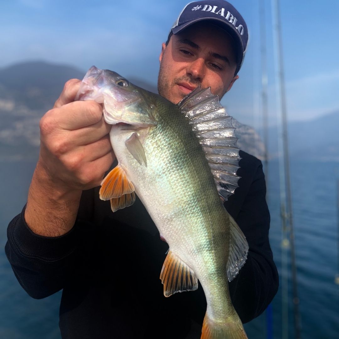 pesca al persico 1