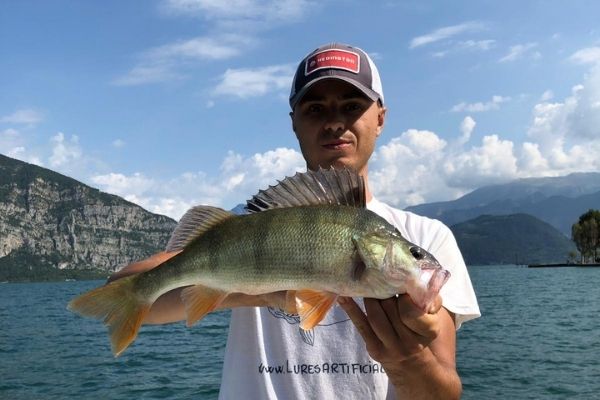 pesca persico lago iseo