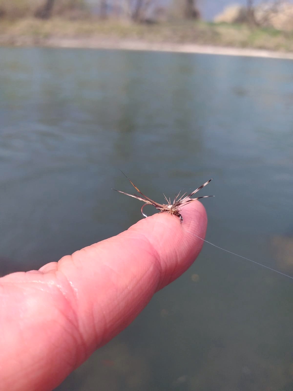 pesca a mosca