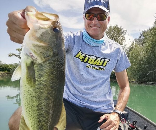 pesca al big bass