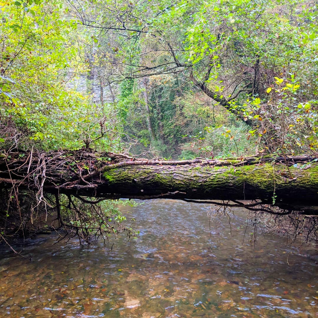pescare a contatto con la natura