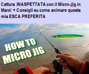 video how to micro jig