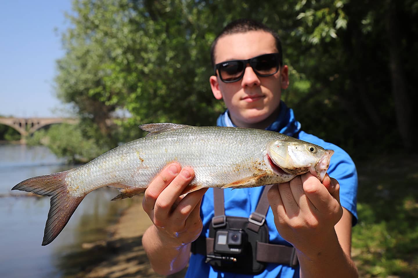 pesca a spinning aspio