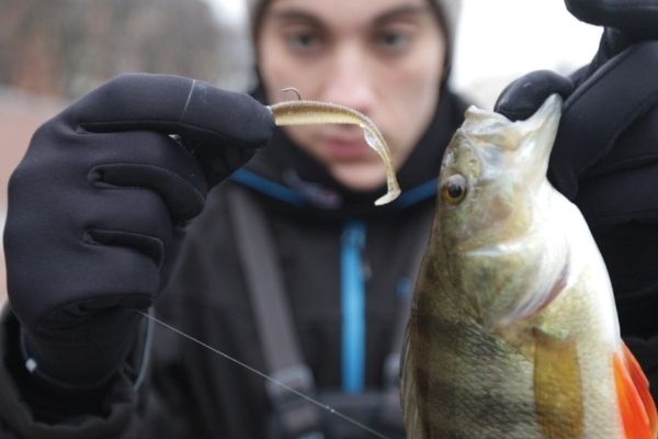 esche street fishing