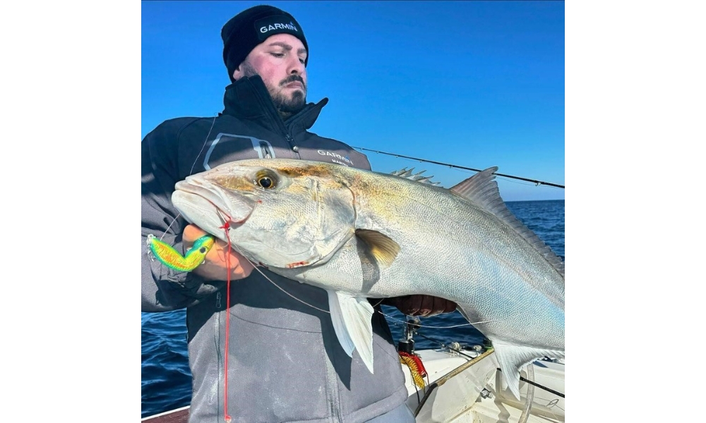 Sud Pesca news2