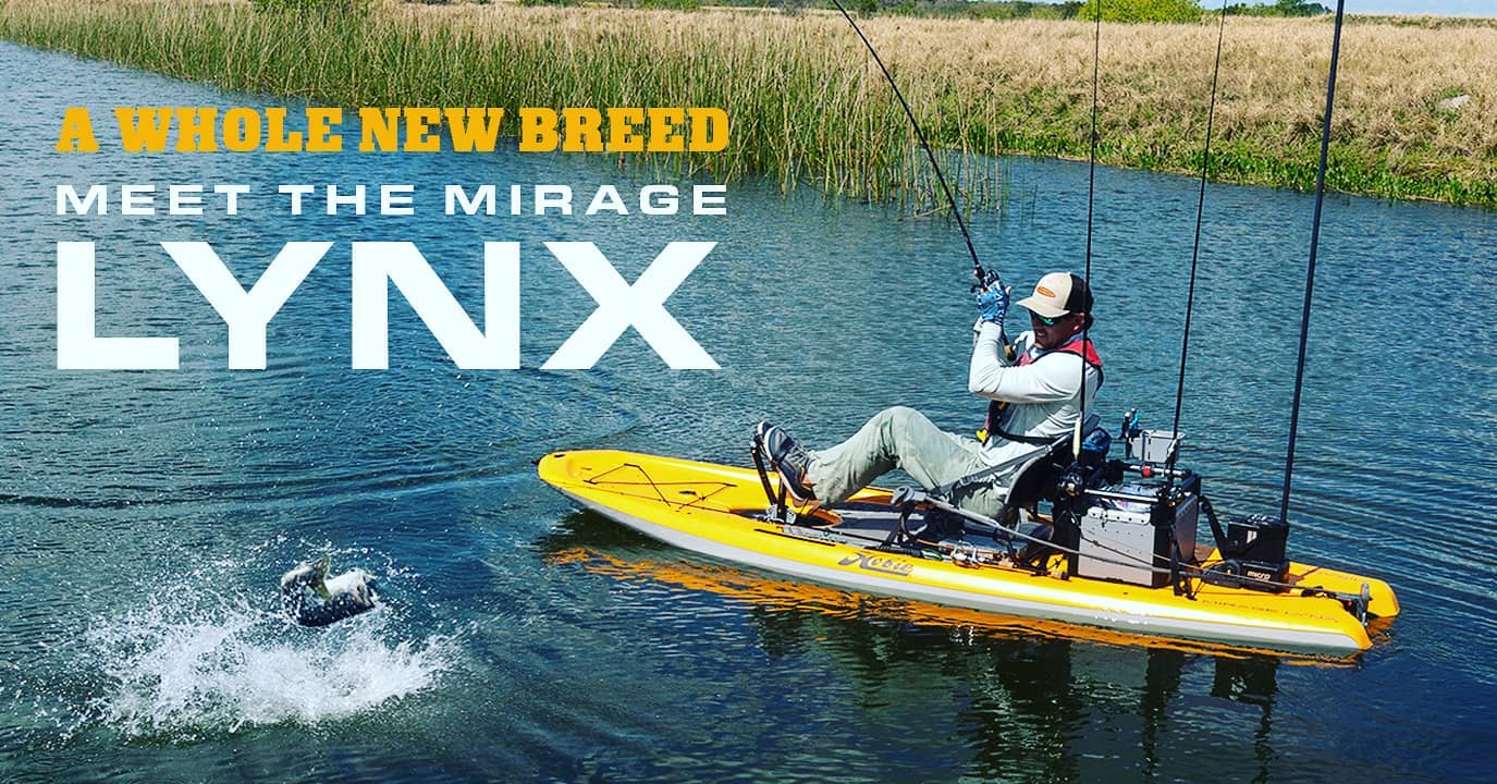 lynx Fishing