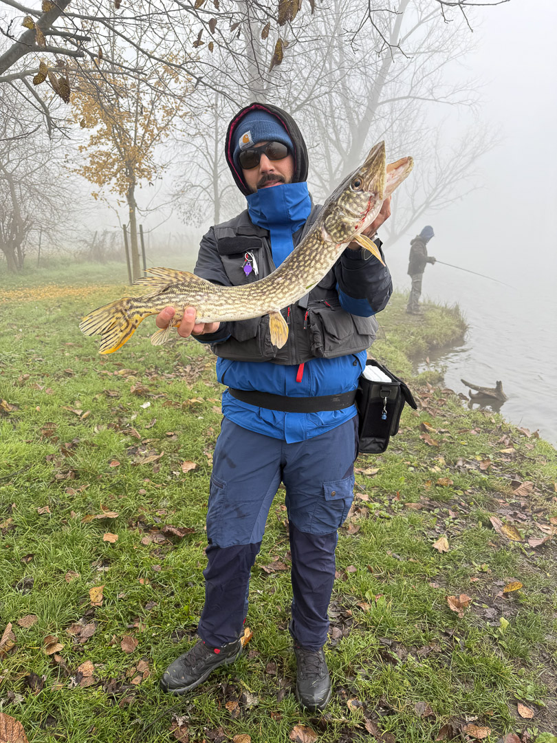 Golden Pike 2024 4