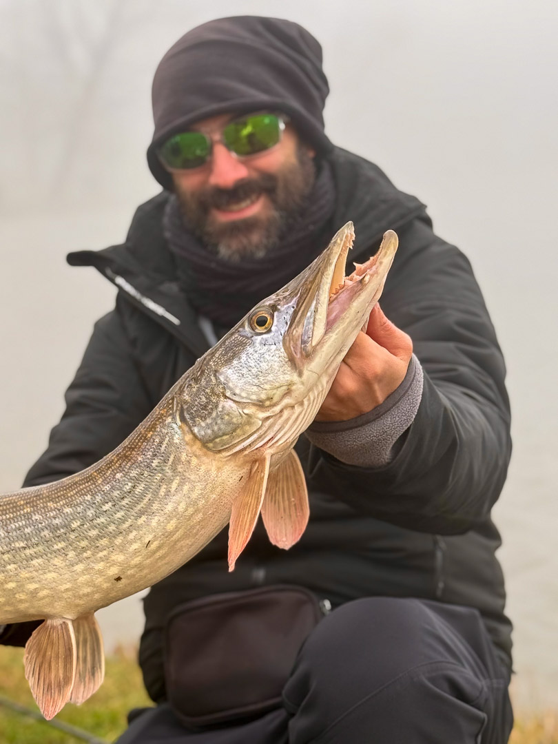 Golden Pike 2024 5
