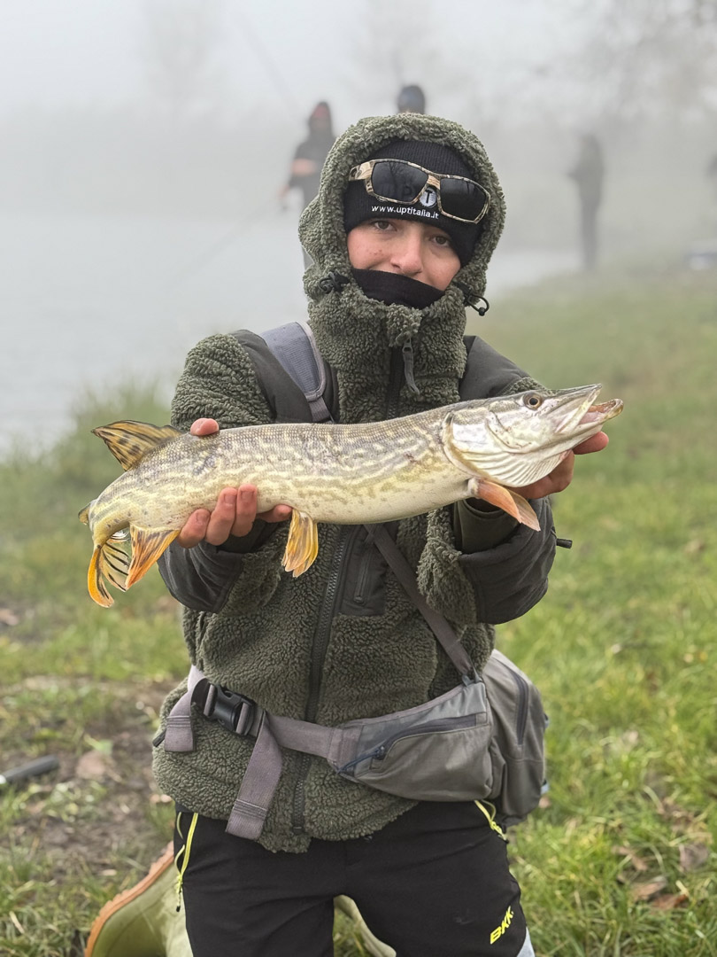 Golden Pike 2024 6